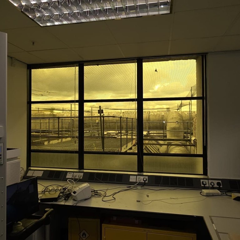 Amber UV Window Film