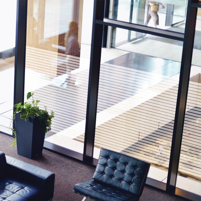 Frosted 44mm Lines Window Film