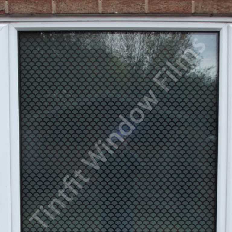 Frosted Shells Window Film