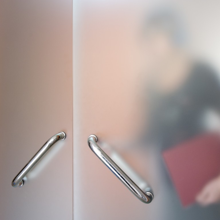 Satin Frost Privacy Vinyl Window Film