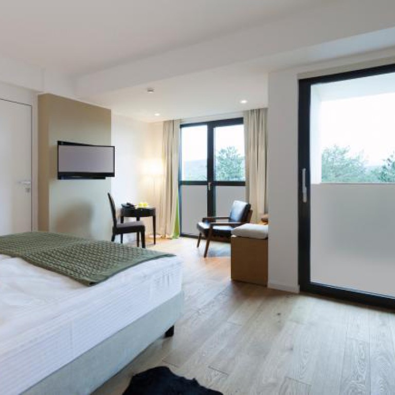 Grey Frost Privacy Window Film