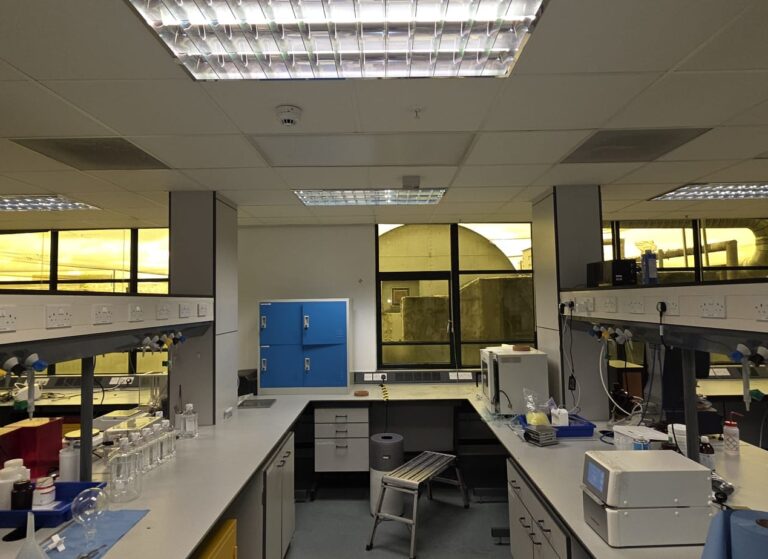 Case Study: Amber UV Film Installation